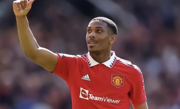 这种全面的 这种全面的